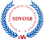 service disabled veteran owned small business